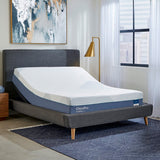 Chiro Pro Firm 13" Mattress