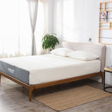 Fusion Ortho Mattress
