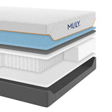 Fusion Supreme 11.5" Mattress