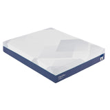 Chiro Pro Firm 13" Mattress