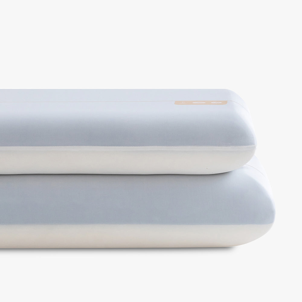 Premium Comfort pillow set of two