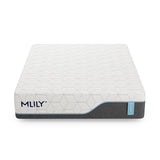 Harmony Chill 13" Mattress