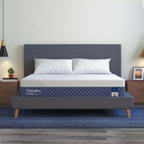 Chiro Pro Plush 13" Mattress