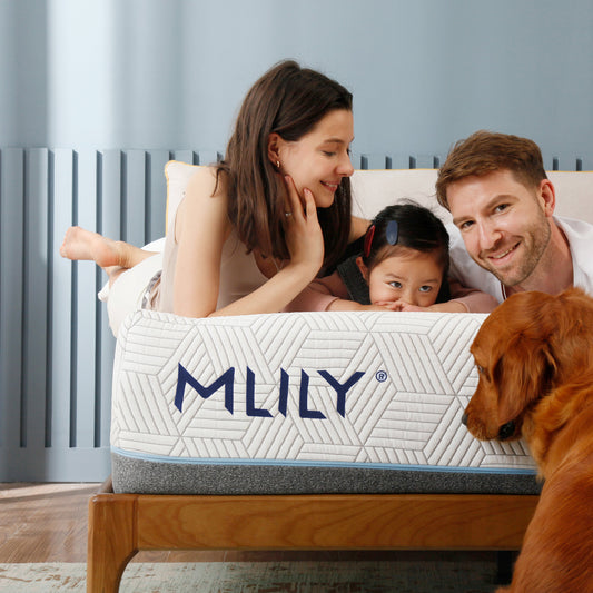 Harmony Chill 3.0 13" Mattress
