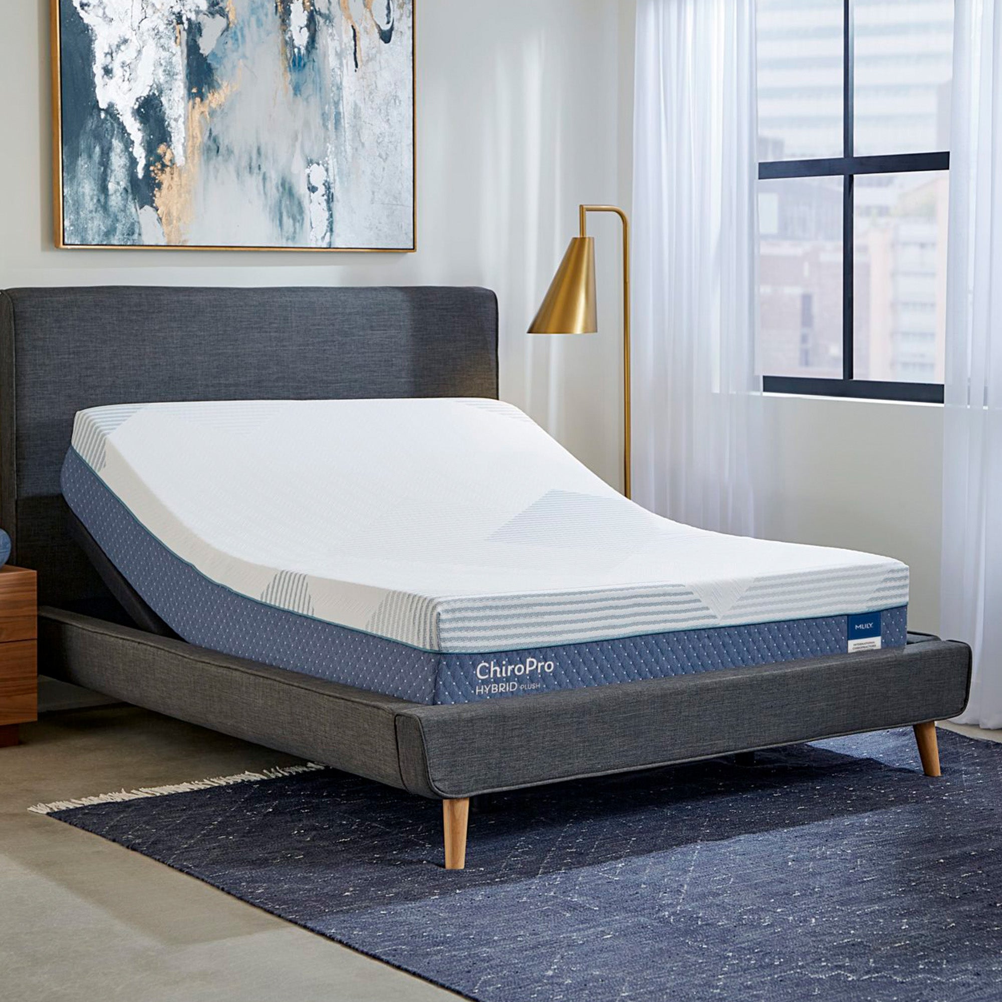 Chiro Pro Plush 13" Mattress