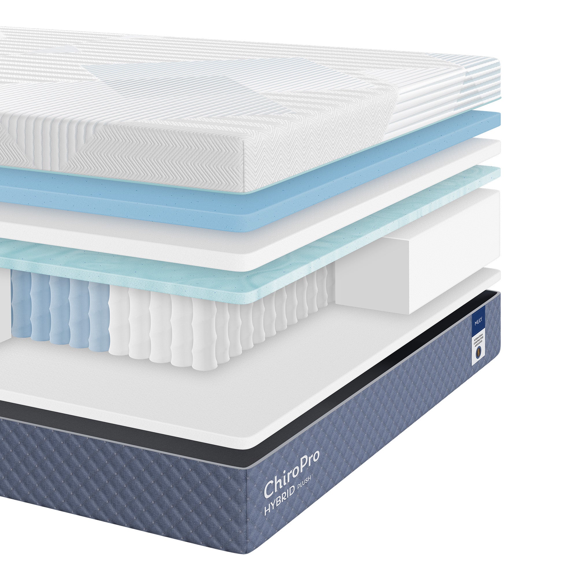 Chiro Pro Plush 13" Mattress