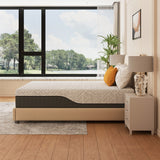 12" Triple Comfort Memory Foam Mattress